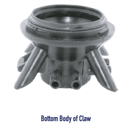 bottom body of claw